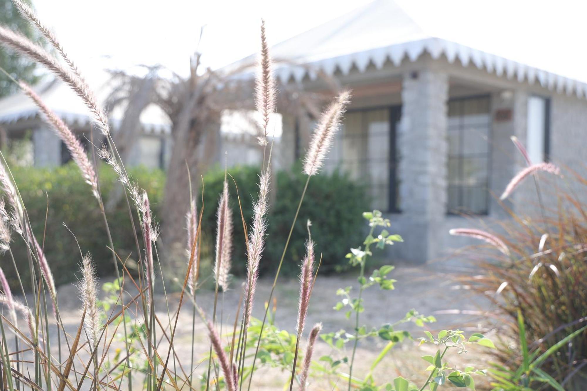 Jawai Bera Leopard Camp Hotel Exterior photo